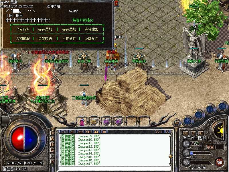 Images18.BMP