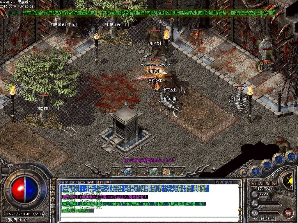 Images23.BMP