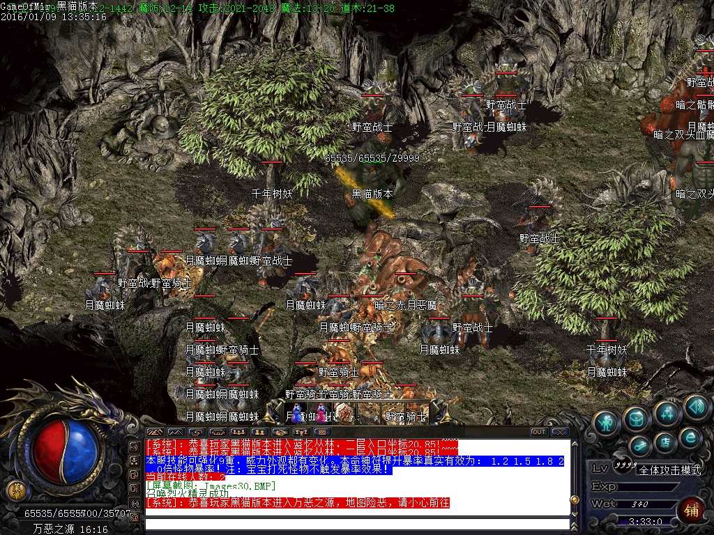 Images31.BMP