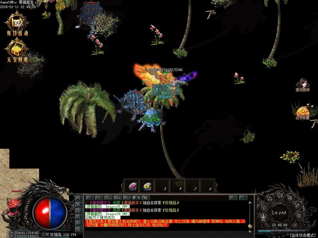 Images40.BMP