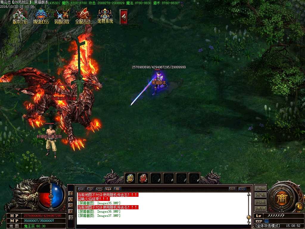 Images38.BMP