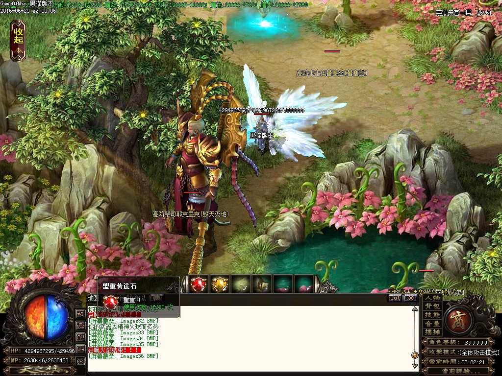 Images37.BMP