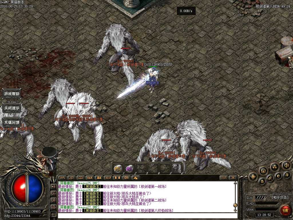 Images28.BMP