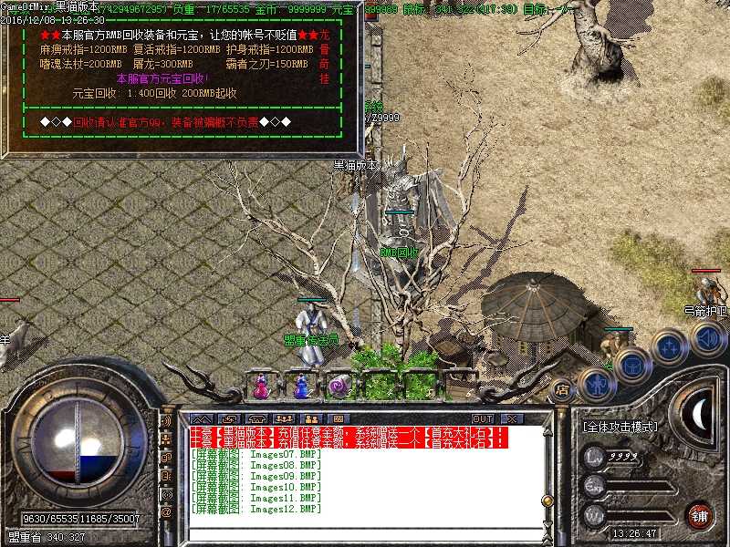 Images13.BMP