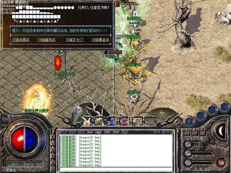Images25.bmp