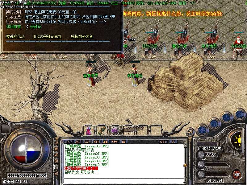 Images11.BMP