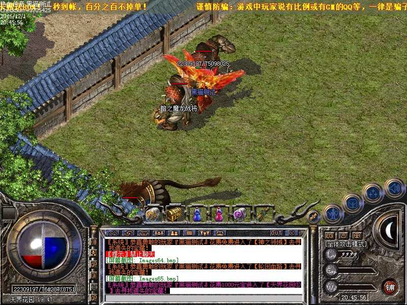 Images66.bmp