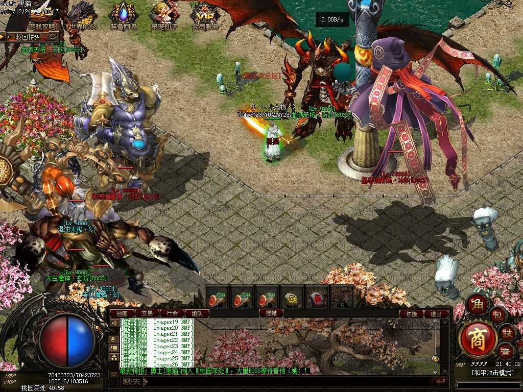 Images27.BMP