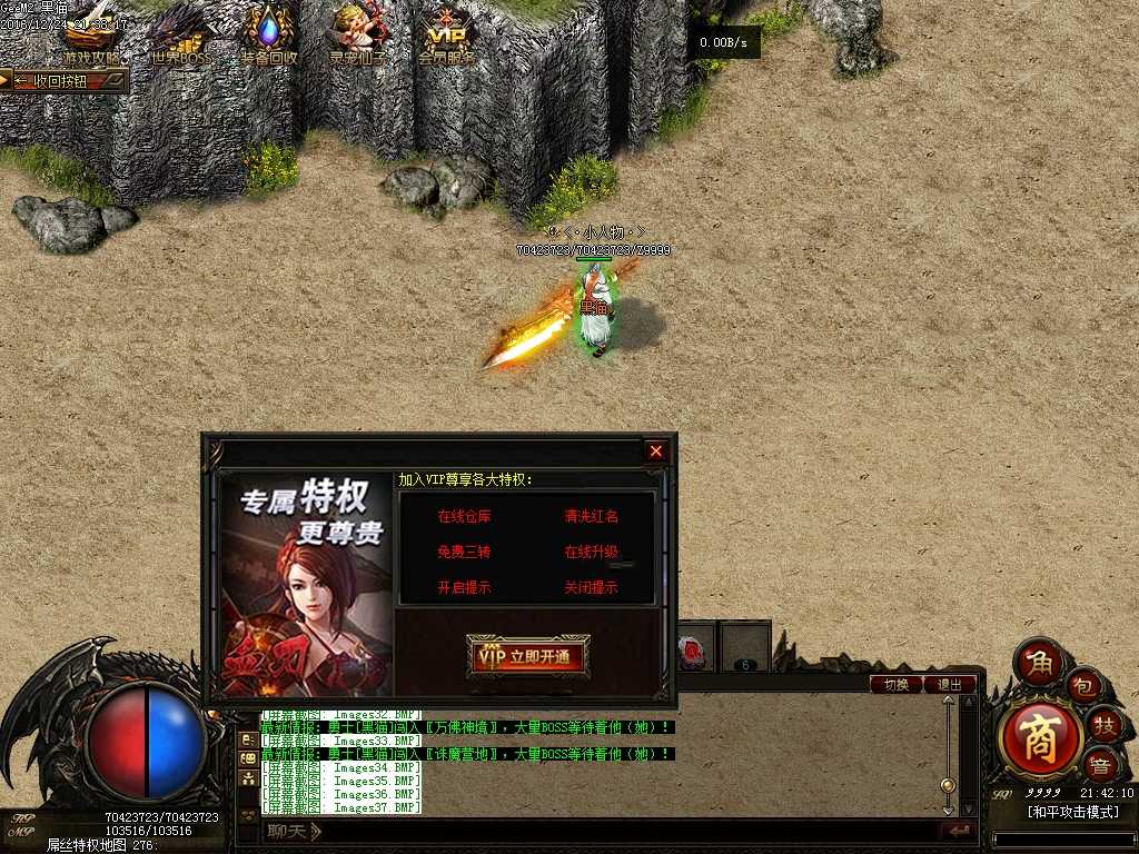 Images38.BMP
