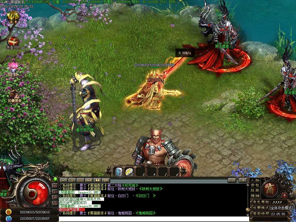 Images33.BMP