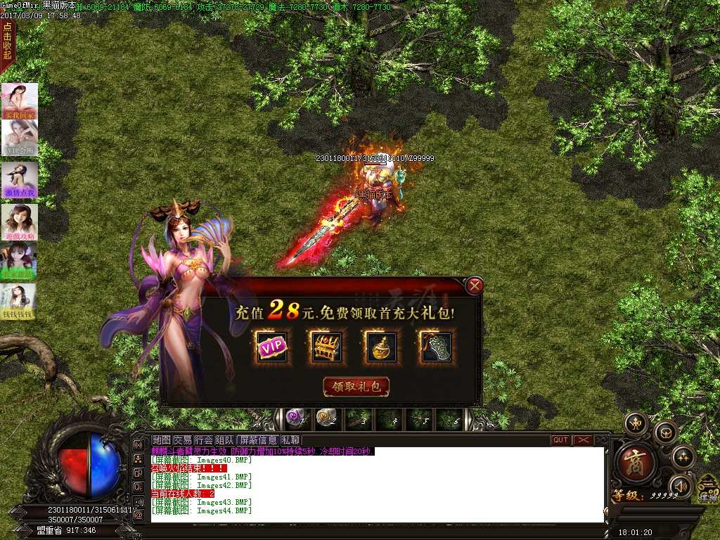 Images45.BMP
