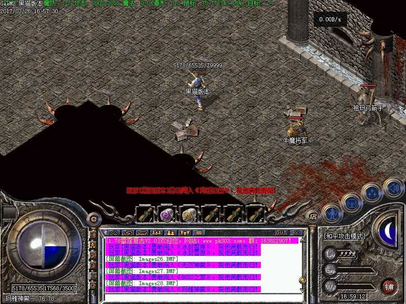 Images29.BMP
