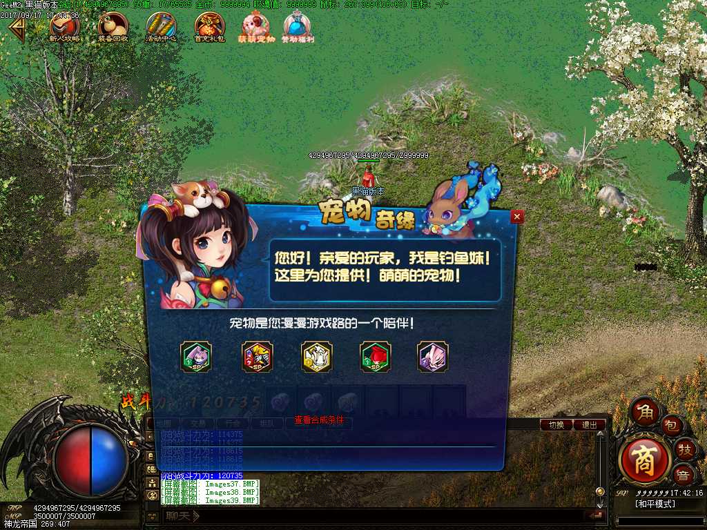 Images40.BMP