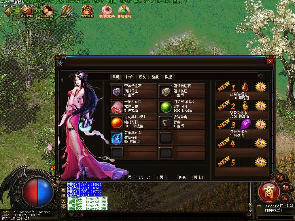 Images41.BMP