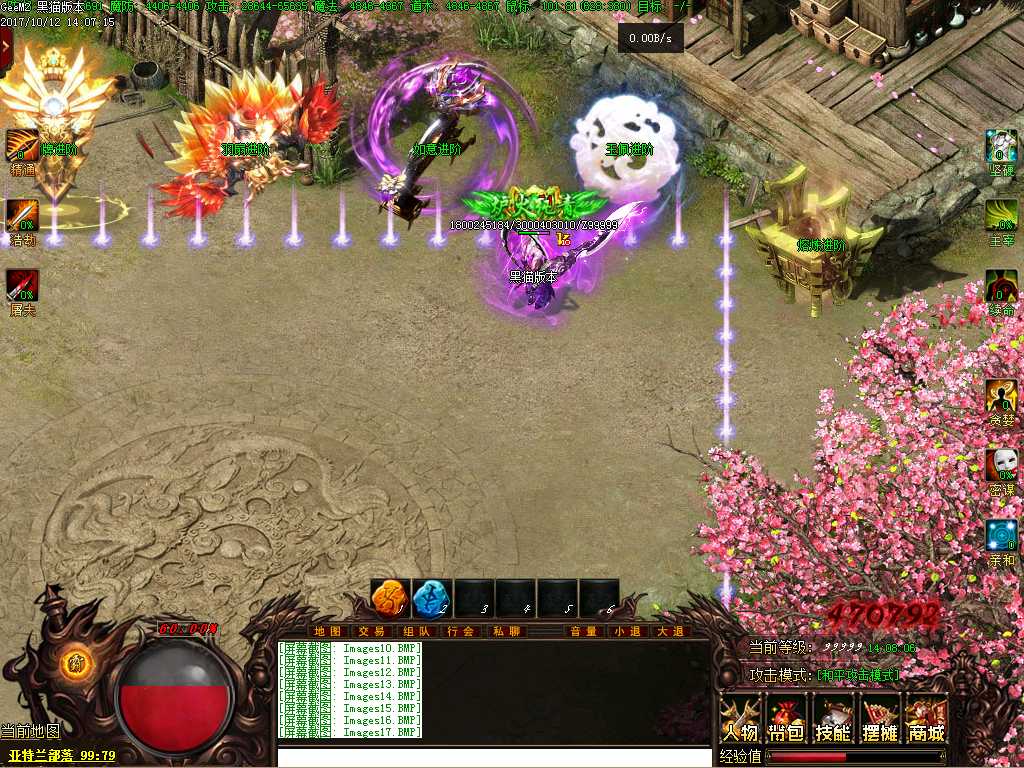 Images18.BMP
