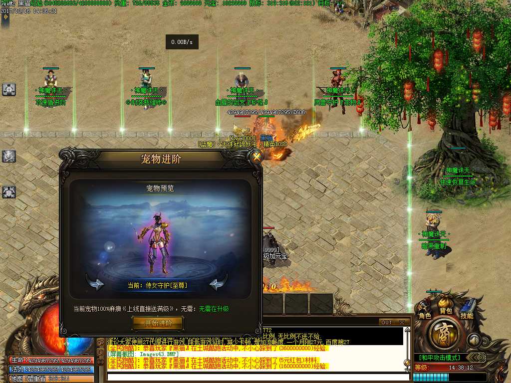 Images44.BMP
