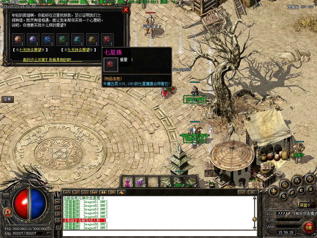 Images68.BMP
