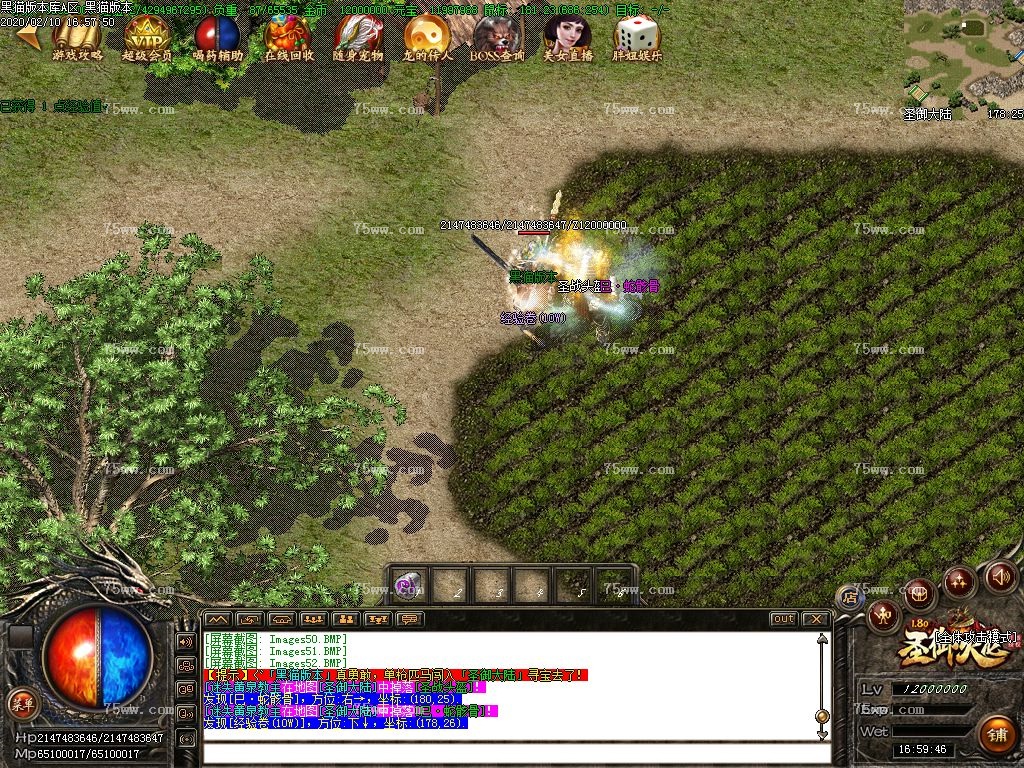 Images53.BMP