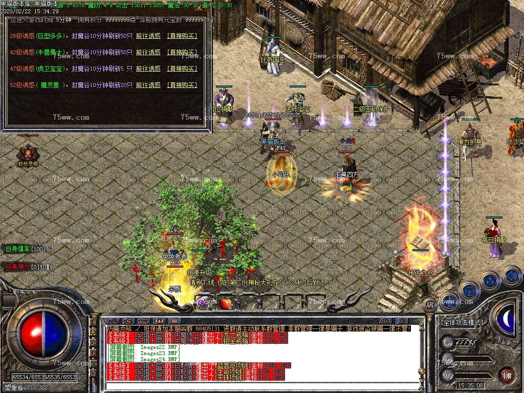Images25.BMP