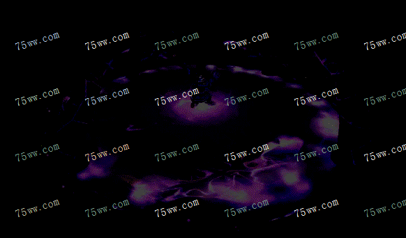 050.gif