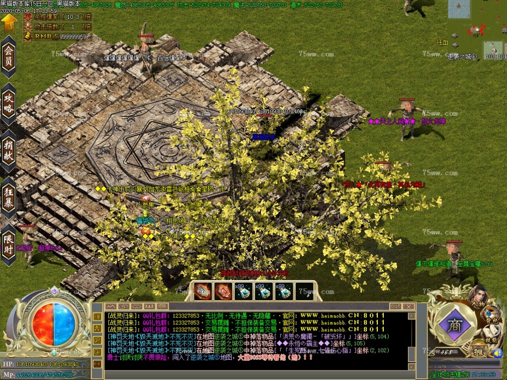 Images40.BMP