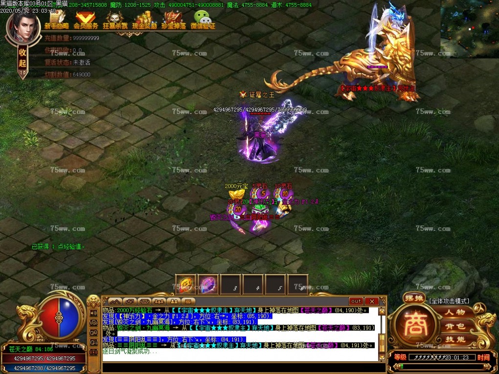 Images63.BMP
