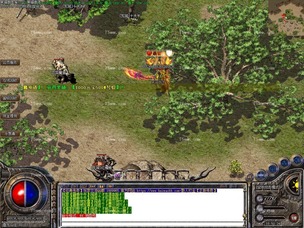 Images85.BMP