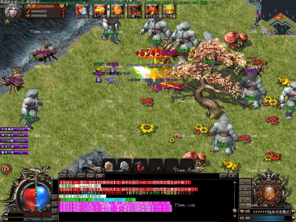 Images55.BMP