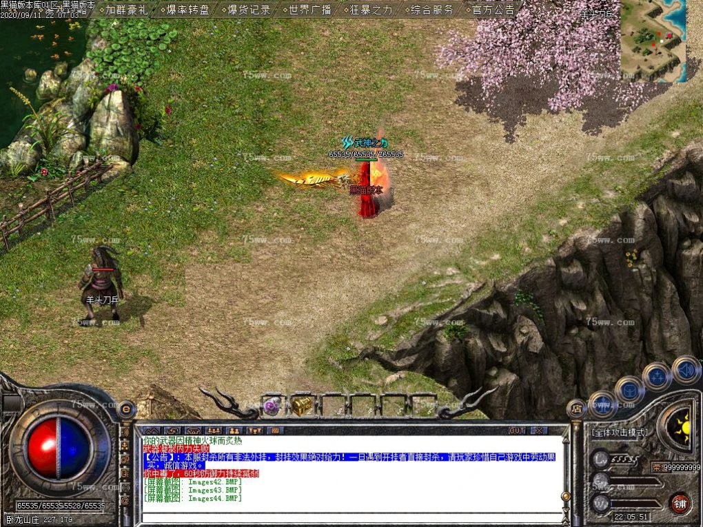 Images45.BMP