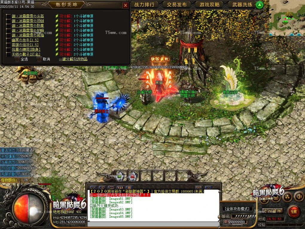 Images66.BMP