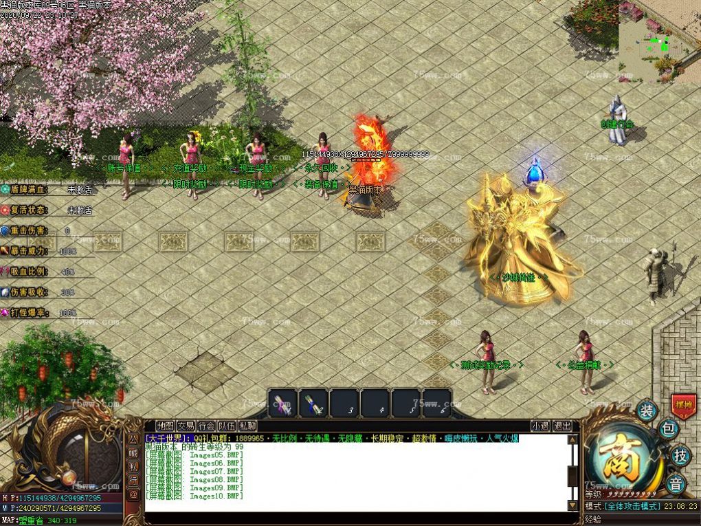 Images11.BMP