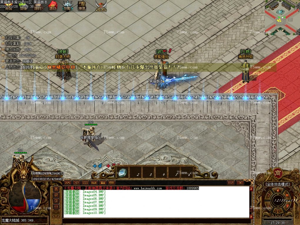 Images11.BMP