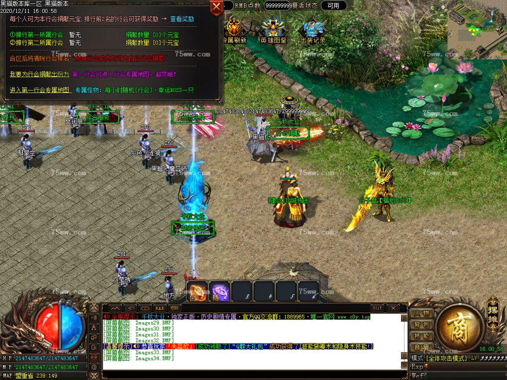 Images35.BMP