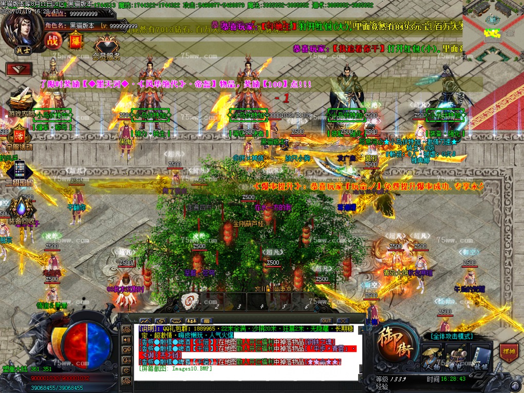 Images11.BMP