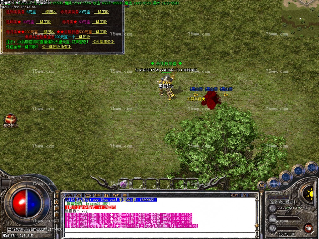Images33.BMP