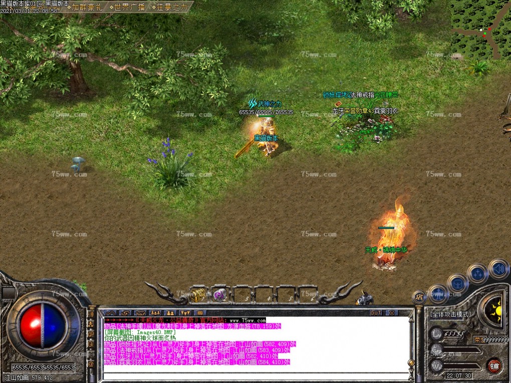 Images41.BMP