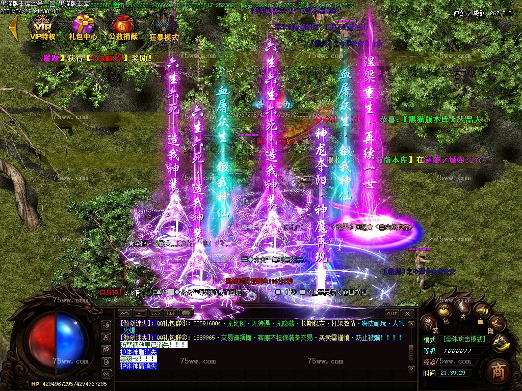 Images41.BMP