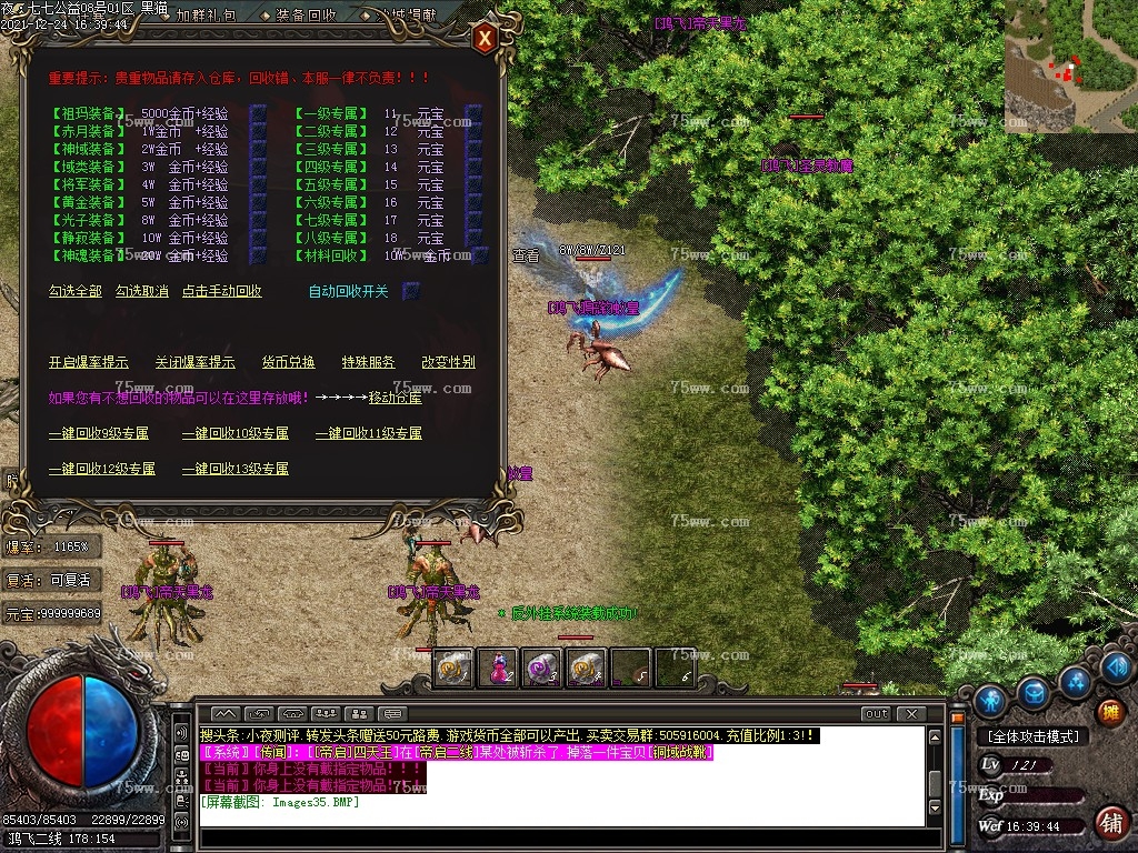 Images36.BMP