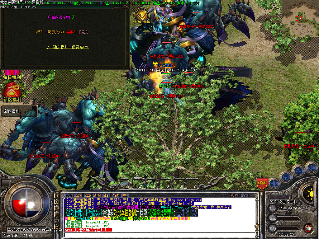 Images44.BMP