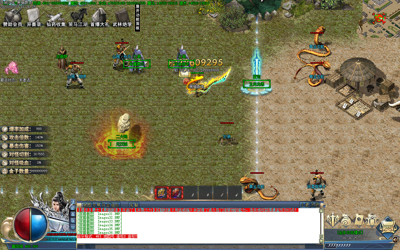 Images37.BMP