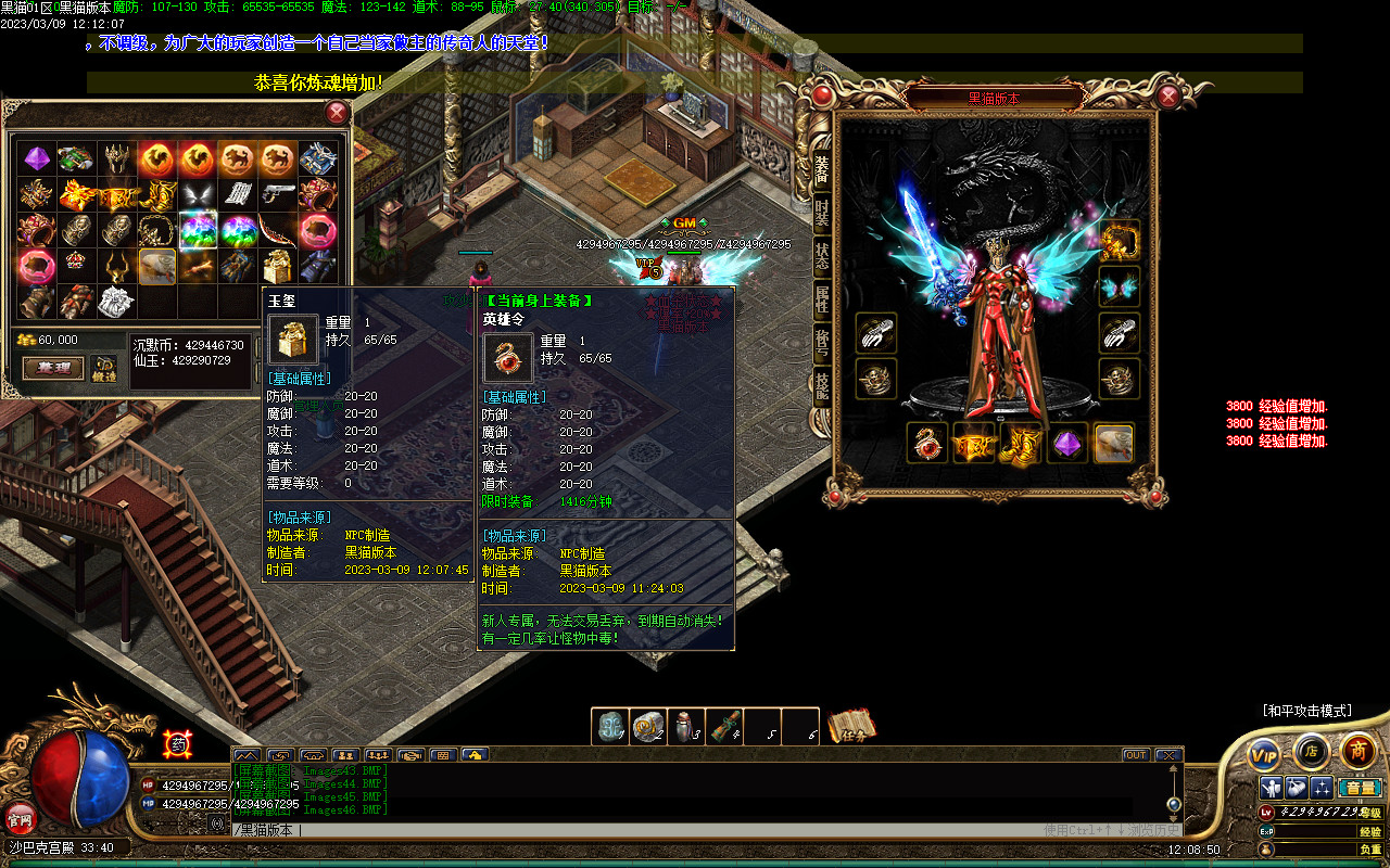 Images47.BMP