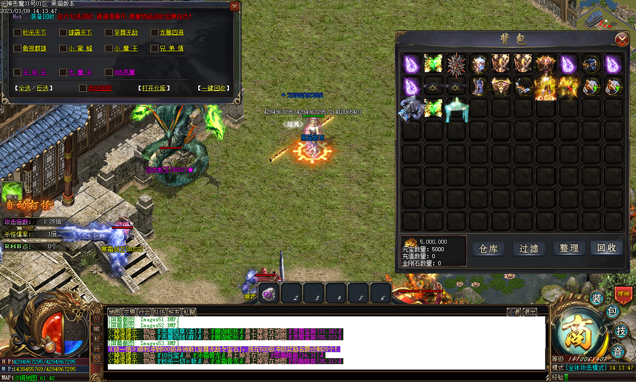 Images54.BMP