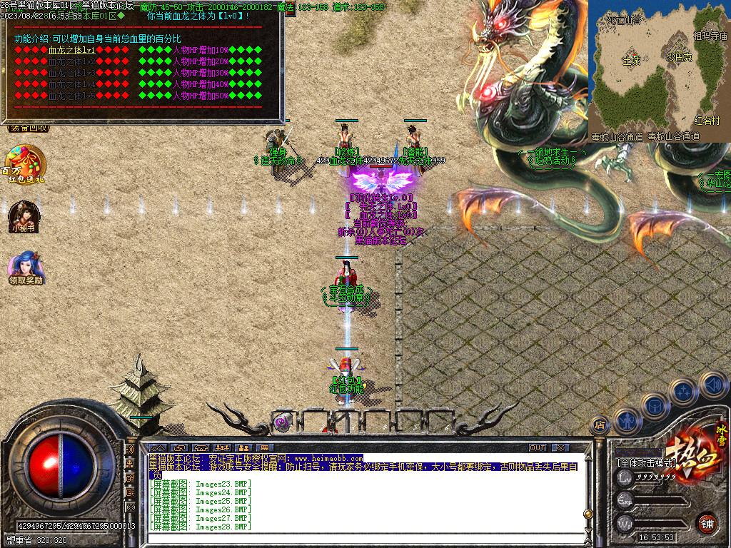 Images29.BMP