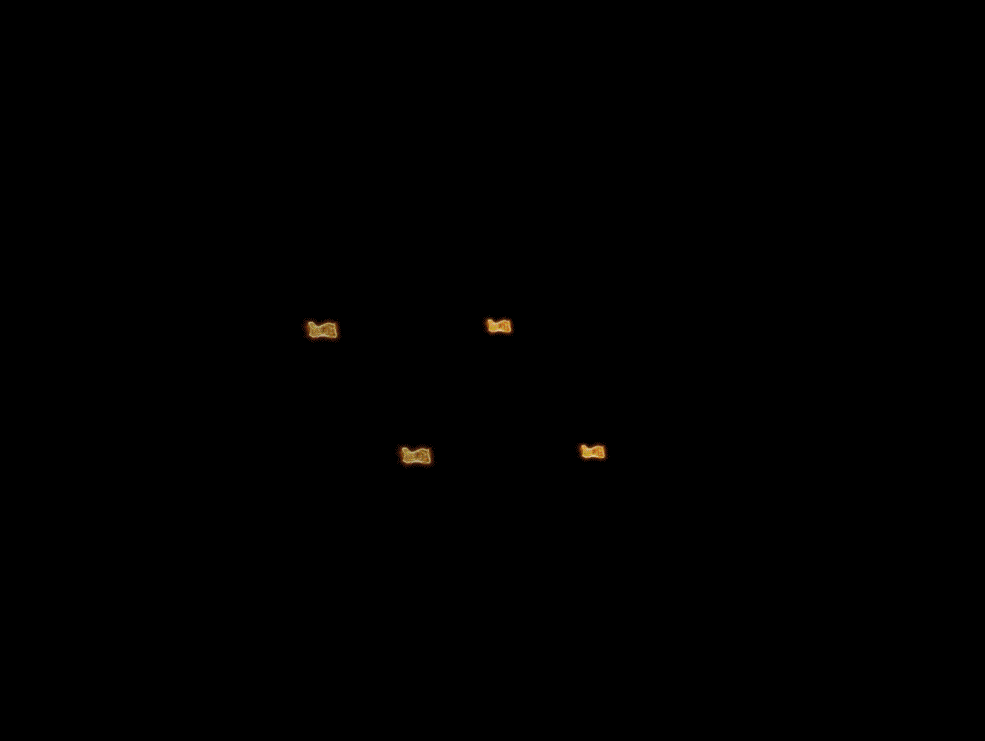 3.gif