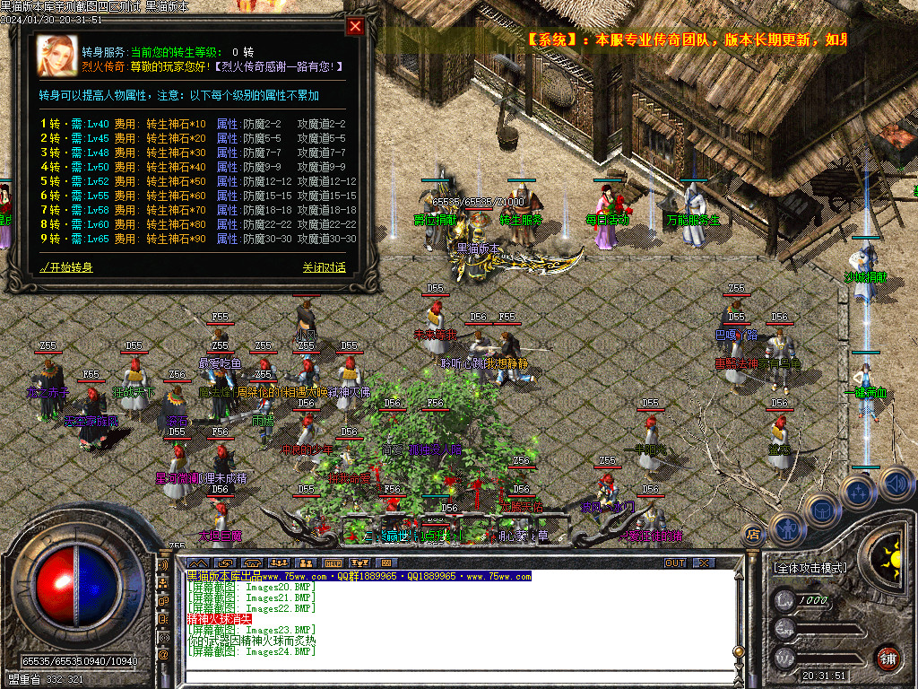 Images25.BMP