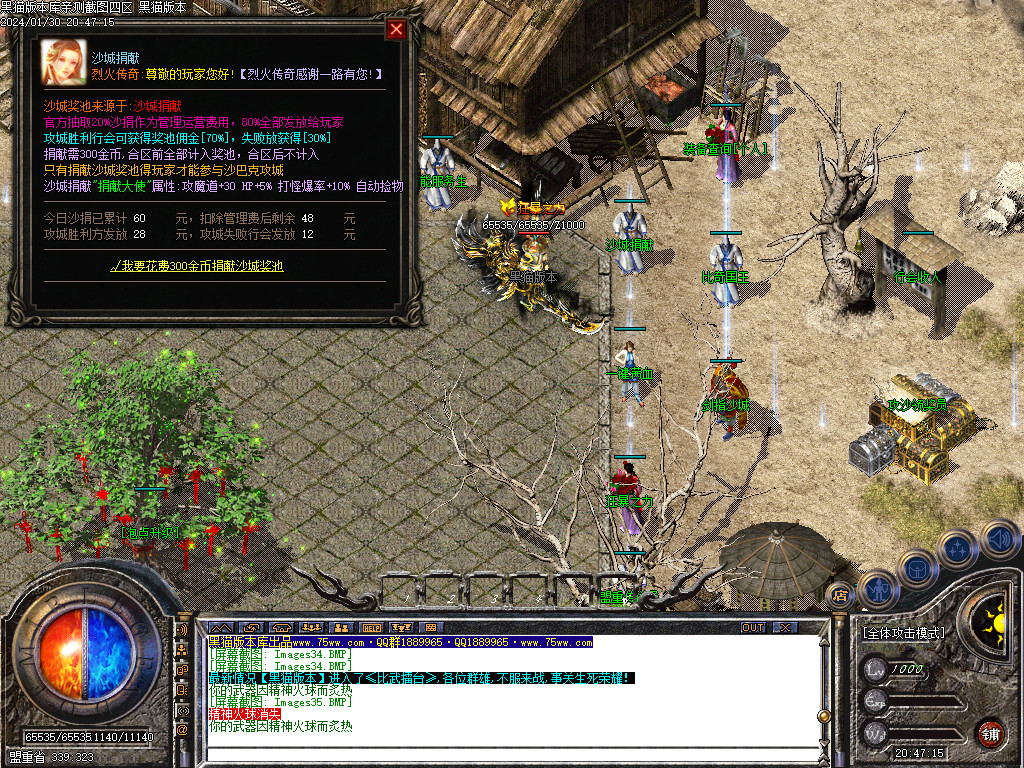 Images35.BMP