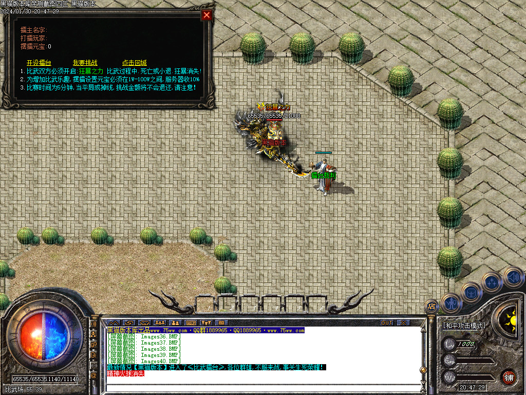 Images41.BMP