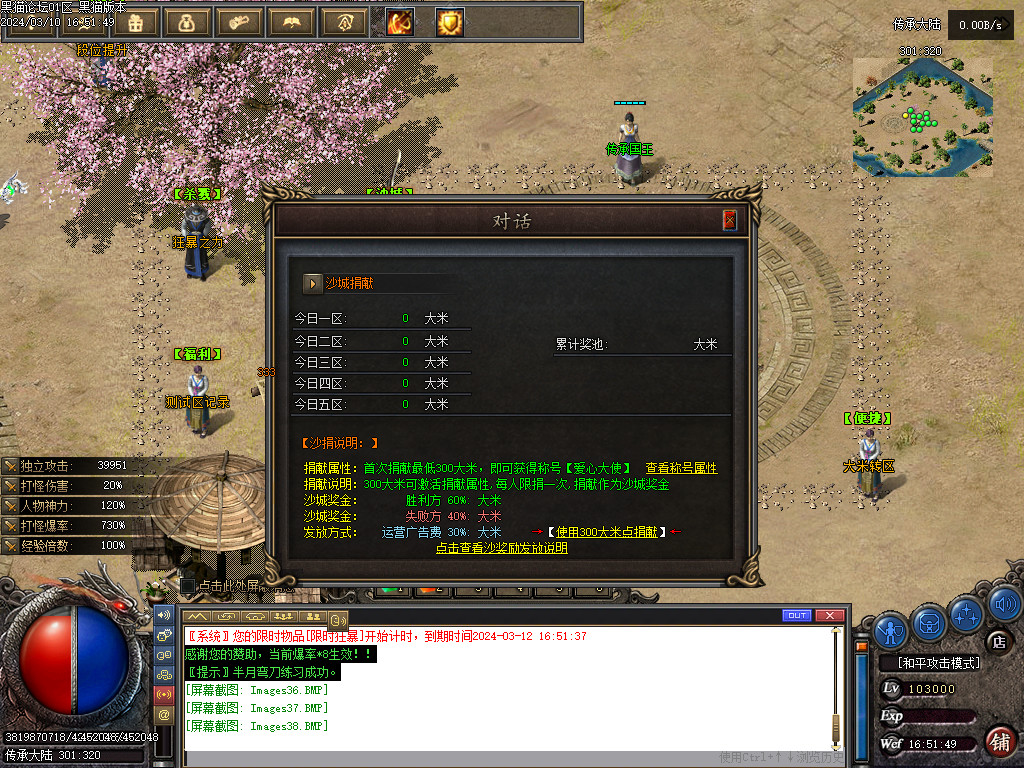 Images39.BMP