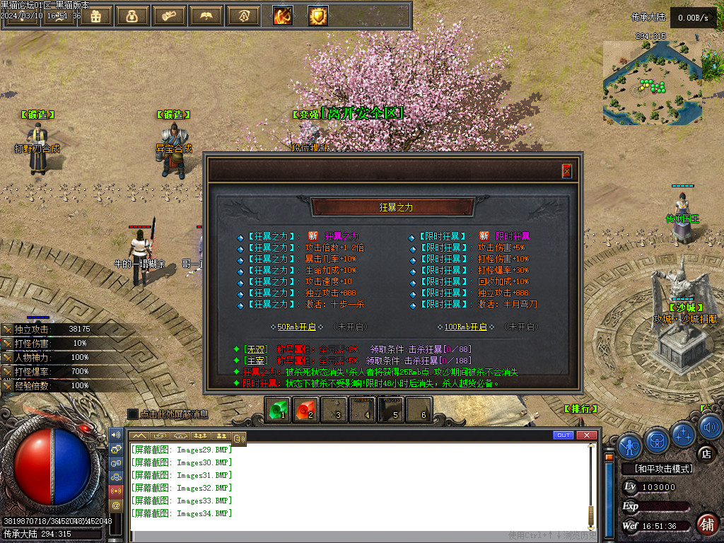 Images35.BMP