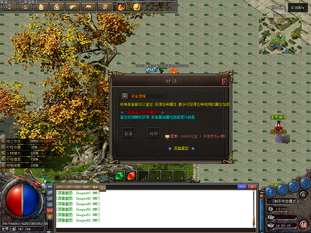 Images53.BMP